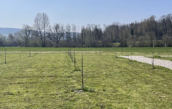 Erlebnishof in Dottikon